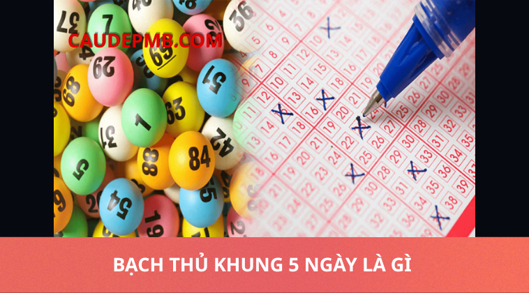 bạch thủ khung 5 ngày