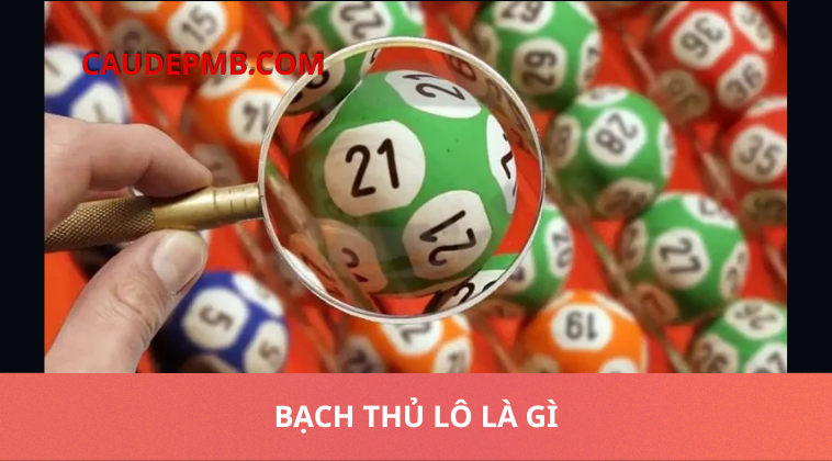 soi cầu bạch thủ lô