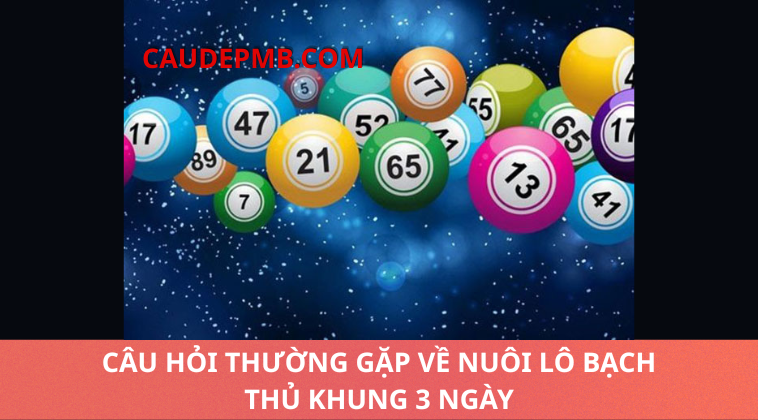 bạch thủ khung 3 ngày