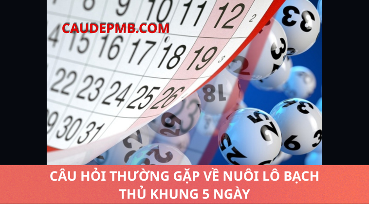 bạch thủ khung 5 ngày
