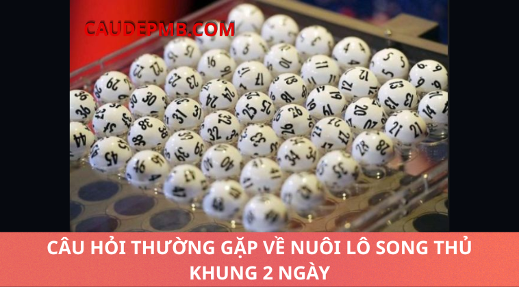 song thủ khung 2 ngày