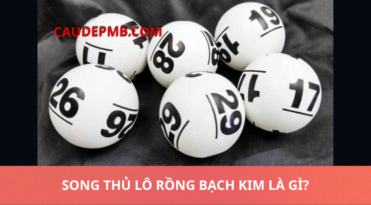 song thủ lô