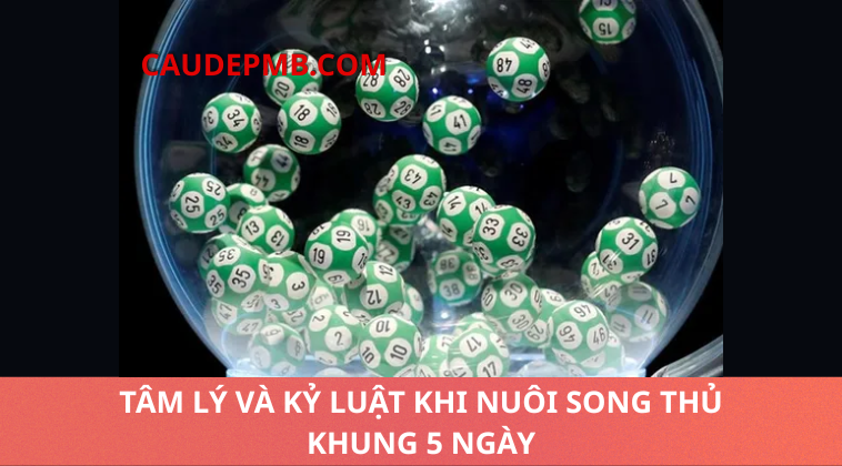 song thủ khung 5 ngày