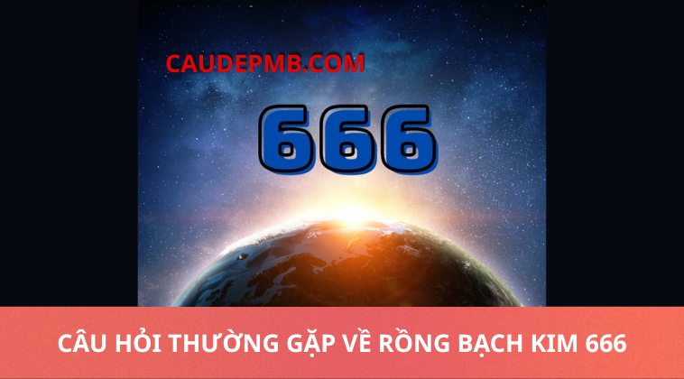 rồng bạch kim 666