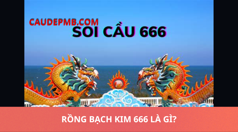 rồng bạch kim 666