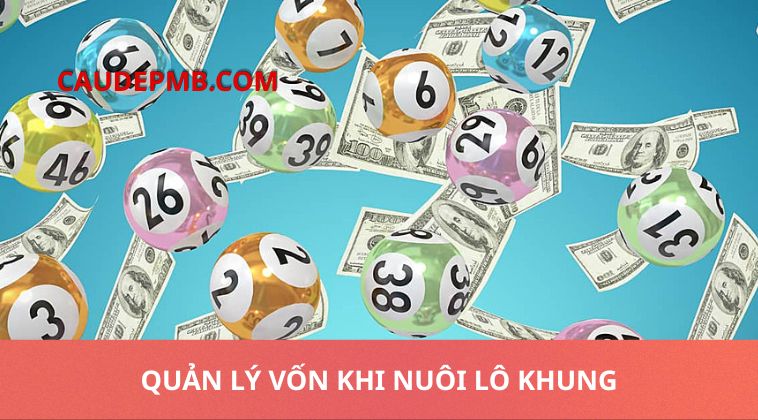 Quản lý vốn khi nuôi lô khung